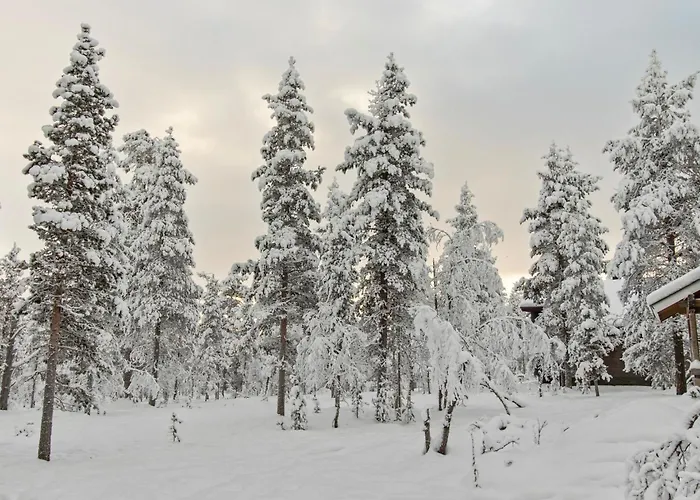 Ressipysaekki 1 By Interhome サーリセルカ